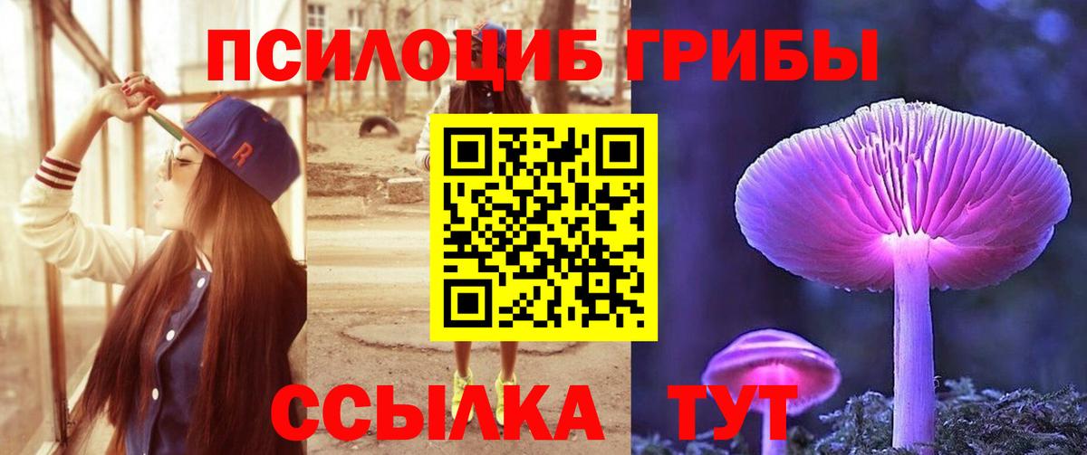 Галлюциногенные грибы прущие грибы Ачинск